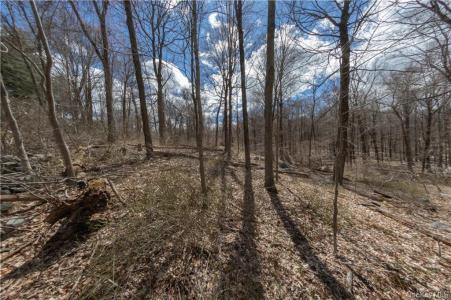 91 Sherwood Hill Road, 东南, 纽约州 10509, 美国