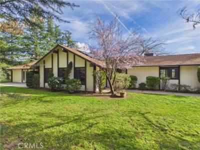 Lone Olive, Ahwahnee, Californie 93601, États-Unis