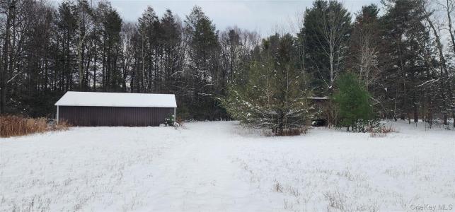 20 Hasbrouck A Road, Fallsburg, New York 12759, États-Unis
