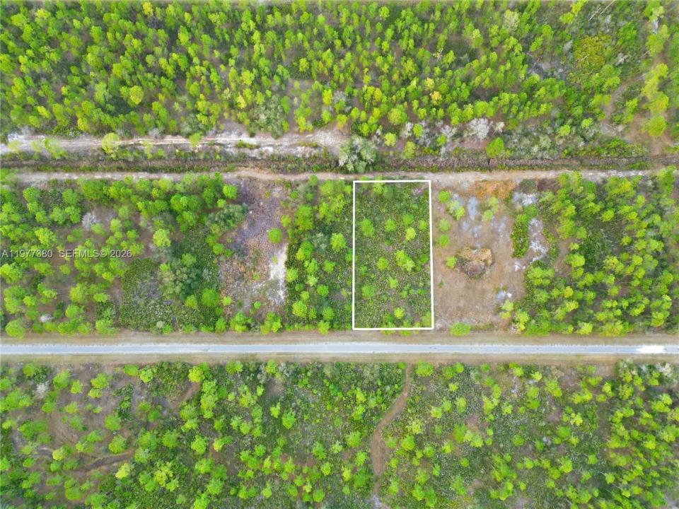310 TROPICANA DR, Lake Wales, Floride 33855, États-Unis