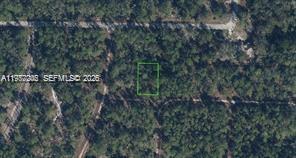 3215 Delafield, Lake Placid, Florida 33852, USA