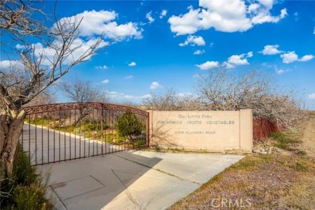 Clay River Road, Barstow, California 92311, Stati Uniti