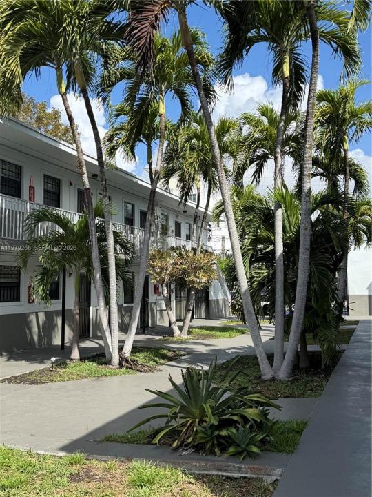 3616 Grand Ave 7, Miami, Florida 33133, Stati Uniti