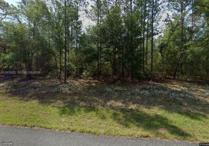 208 W Ruska Pl, Citrus Springs, Floride 34434, États-Unis