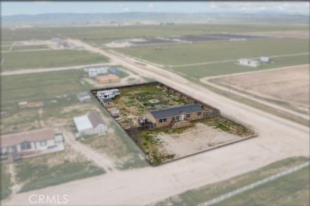 Clydesdale, Taft, 캘리포니아 93268, 미국