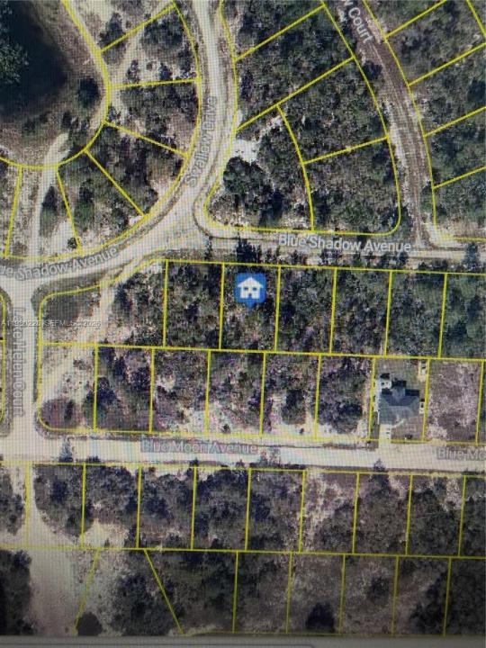 459 RUBA AVE, Lake Placid, Floride 33852, États-Unis