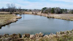 CR 1460, Linden, Texas 75563, Stati Uniti