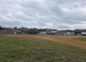 1886 Opossum Rd, Pittsburg, Texas 75686, Stati Uniti