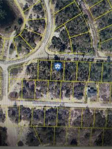 459 RUBA AVE, Lake Placid, Floride 33852, États-Unis