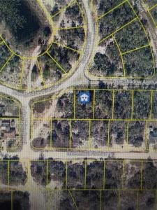 457 RUBA AVE, Lake Placid, Floride 33852, États-Unis