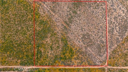 Avenue C-8, Antelope Acres, Kalifornien 93536, USA