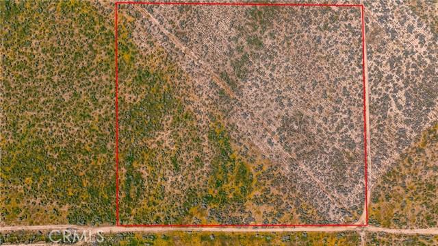 Avenue C-8, Antelope Acres, Kalifornien 93536, USA