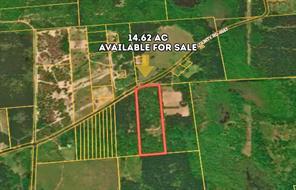 County Road 4557, Bivins, Texas 75555, Stati Uniti