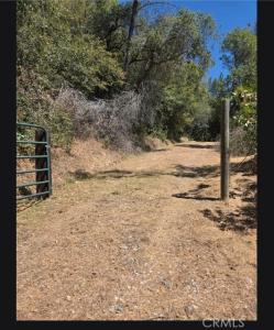 Moccasin Trail, Placerville, Californie 95667, États-Unis