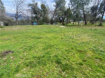 Road 200, North Fork, California 93643, Stati Uniti