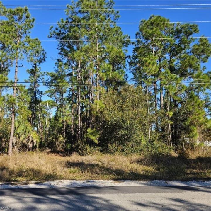 3903 E 10th ST, Lehigh Acres, Florida 33972, USA