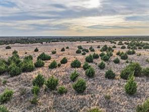 CR 3107, Bonham, Texas 75418, Stati Uniti