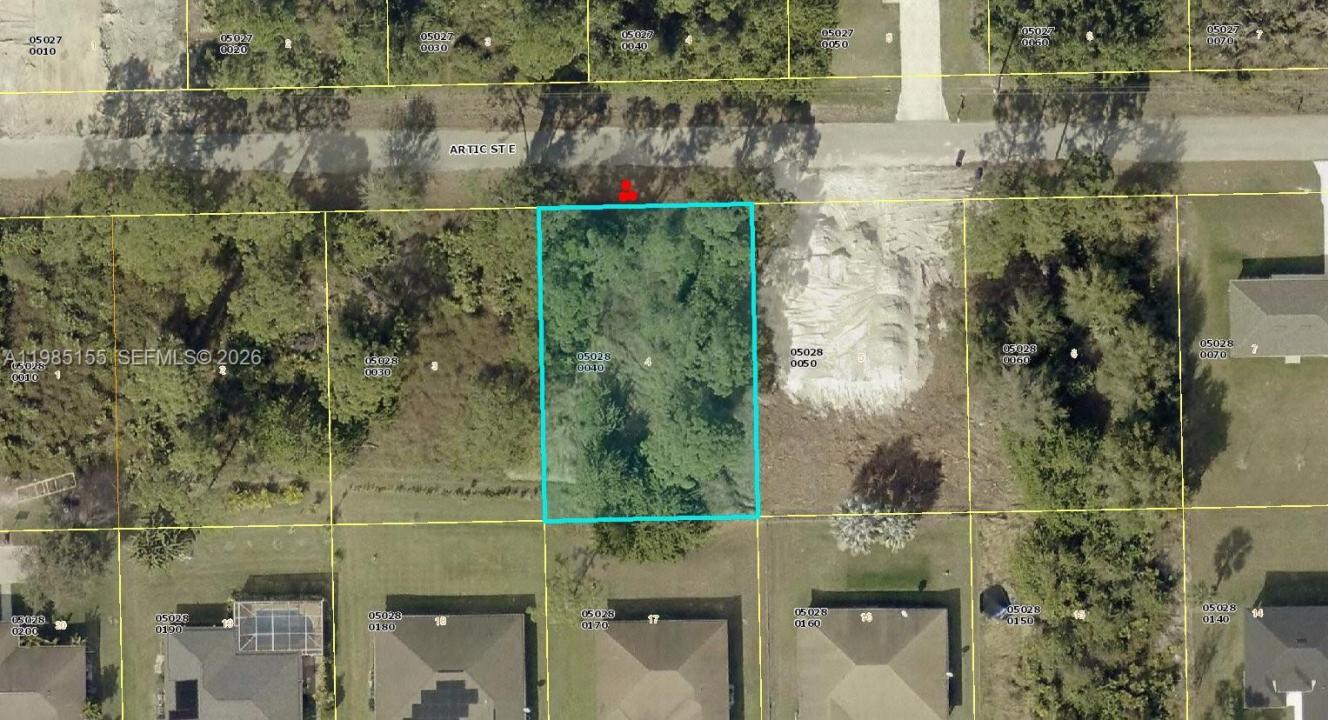 1110 Artic St E, Lehigh Acres, Floryda 33974, USA