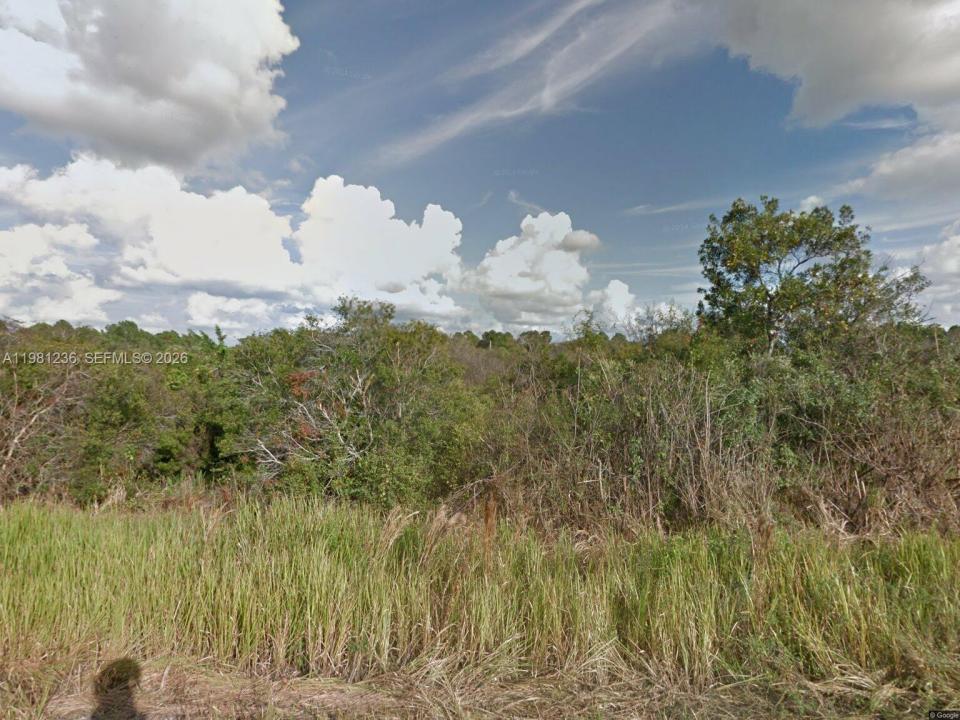 2600 IDA CT N, Lehigh Acres, Florida 33871, USA