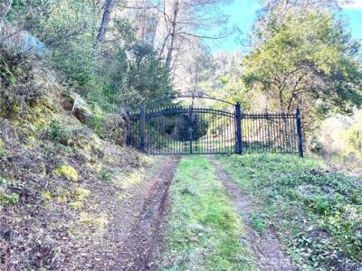 Soda Bay, Kelseyville, California 95451, Stati Uniti