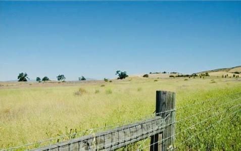 Martinez Road, Lockwood, 캘리포니아 93932, 미국