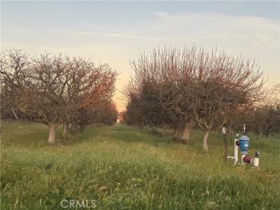 Road 30, Madera, Kalifornien 93638, USA