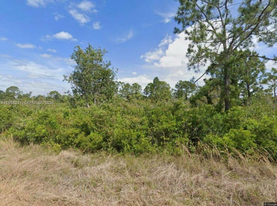 1081 BEAVER ST, Lake Placid, Florida 33852, Stati Uniti