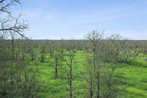 Cr-1990, Chico, Texas 76431, Estados Unidos