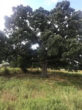 TBD I 20 Frontage, Wills Point, Texas 75169, USA