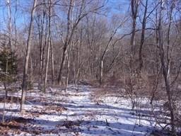 90 Chestnut Hill Road, Millville, Massachusetts 02529, Estados Unidos