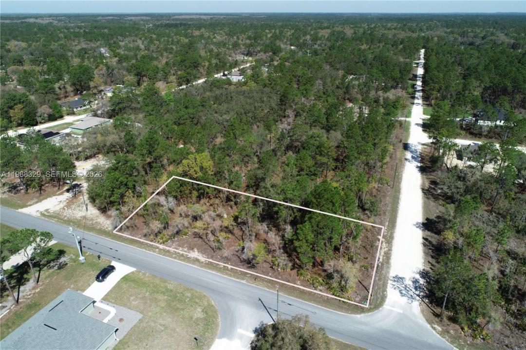 0 WOOD OWL AVE, Florida 34614, USA