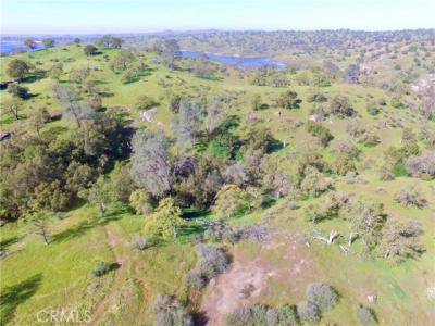 11.81 AC Road 400, Madera, California 93636, Stati Uniti