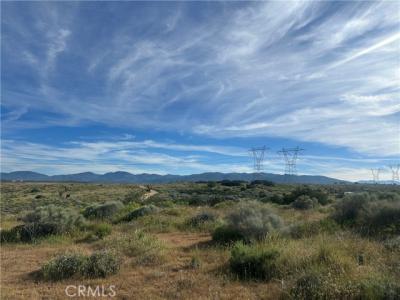 Near Lookout Trail, Oak Hills, Californie 92344, États-Unis