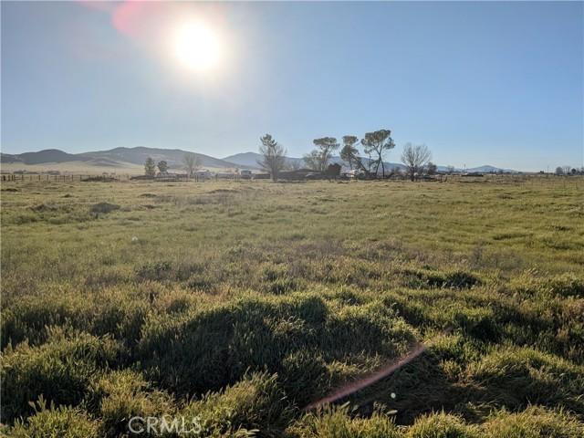 Degiorgi, California Valley, Californie 93453, États-Unis