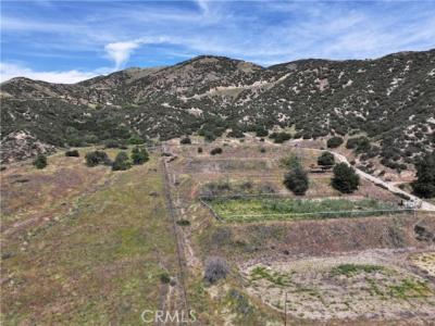 Wildwood Canyon Road, Yucaipa, Californie 92399, États-Unis