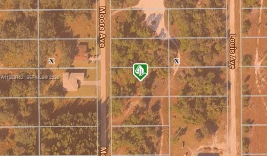 1812 MOORE AVE, Lehigh Acres, Florida 33972, USA