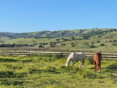 Susie Lane, Gilroy, 加州 95020, 美國