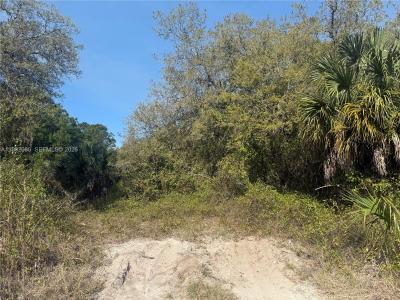 240 S ESTRIBO ST, Clewiston, Florida 33440, USA