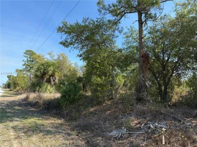 335 & 345 S KENNEL ST, Clewiston, Floride 33440, États-Unis