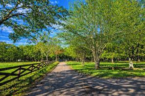 377 County Road 3501, Greenville, テキサス 75402, アメリカ合衆国