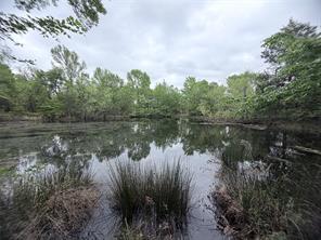 VZCR 3108, Edgewood, 德克薩斯州 75117, 美國