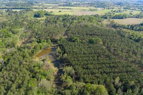 Farm to Market Road 2022, Grapeland, Texas 75844, Estados Unidos