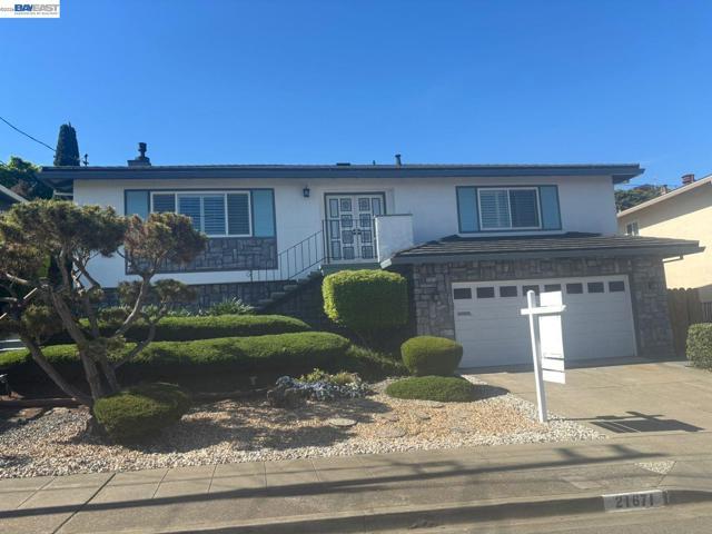 Shadyspring Rd, Castro Valley, 加州 94546-6837, 美國