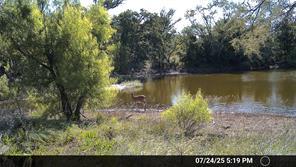 N/A Wayland Ranches, Breckenridge, Texas 76424, États-Unis
