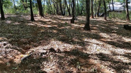 Adrian Drive, Magalia, Californie 95954, États-Unis