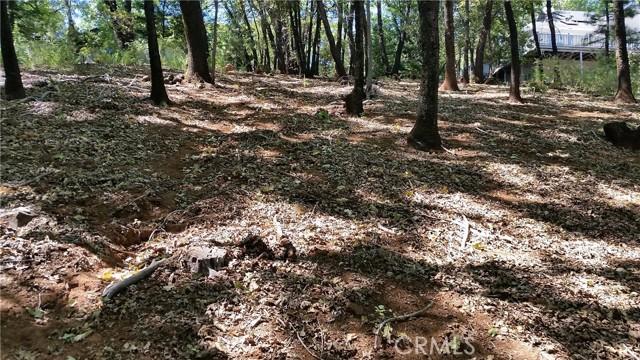 Adrian Drive, Magalia, Californie 95954, États-Unis