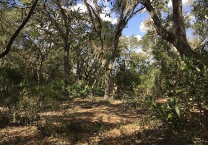 8922 E Gulf To Lake Highway, Inverness, Florida 34450, HOA KỲ
