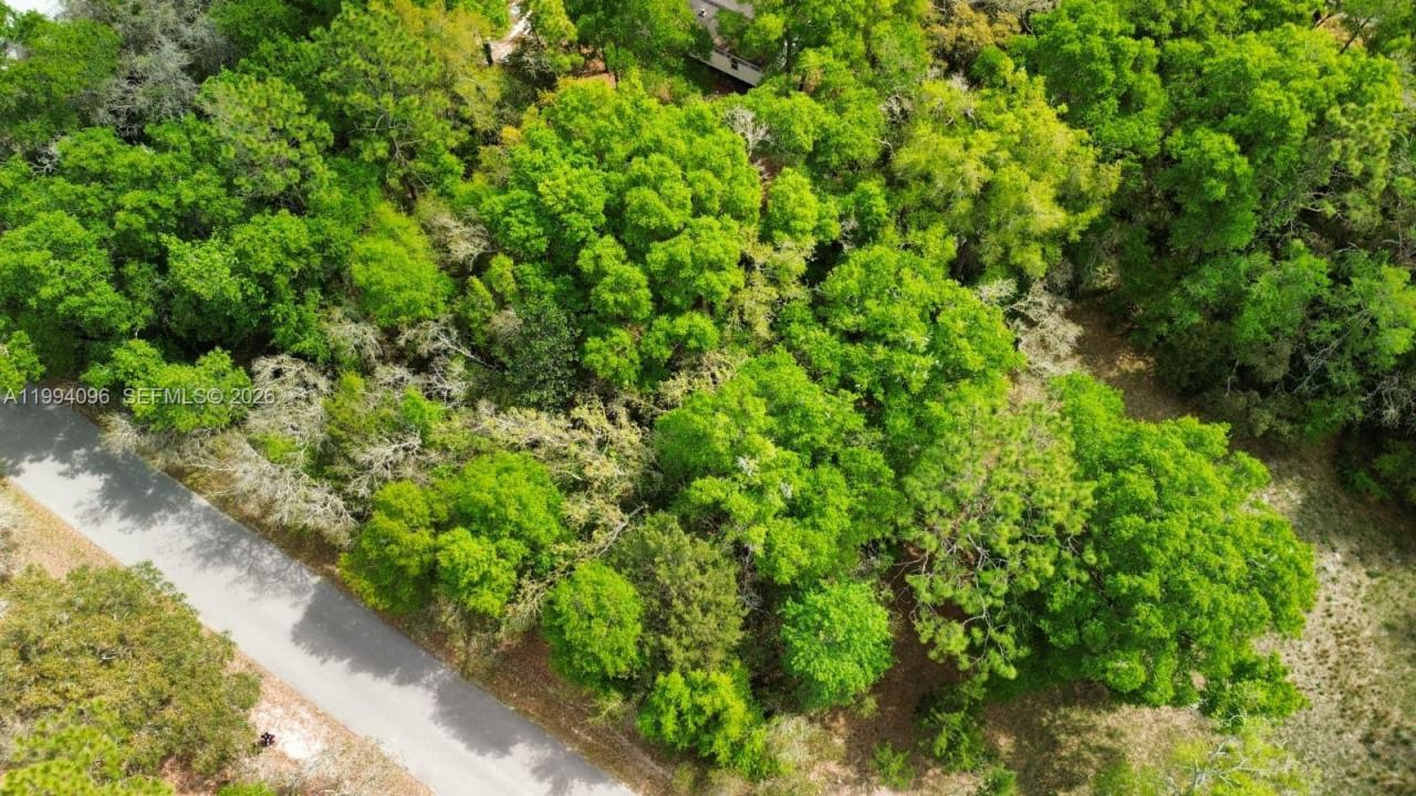 Lot 29 Nw 120th Ave, Ocala, Florida 34482, Stati Uniti