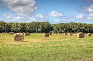 3812 County Road 120, Wills Point, 得克萨斯州 75169, 美国