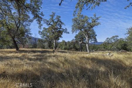 39.29 AC Village Drive, Oakhurst, Калифорния 93644, Соединенные Штаты